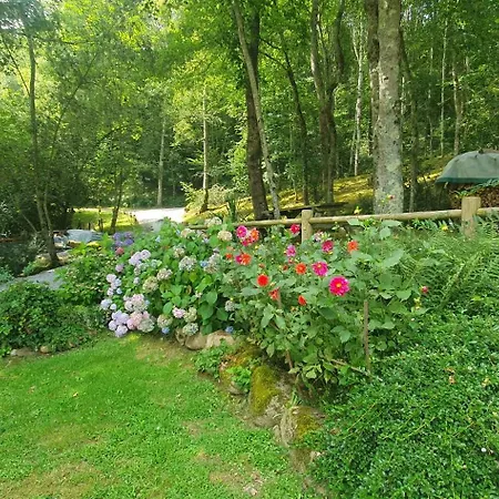 Maison Familiale Baylere - Piscine Et - 8 Pers Apartment *
